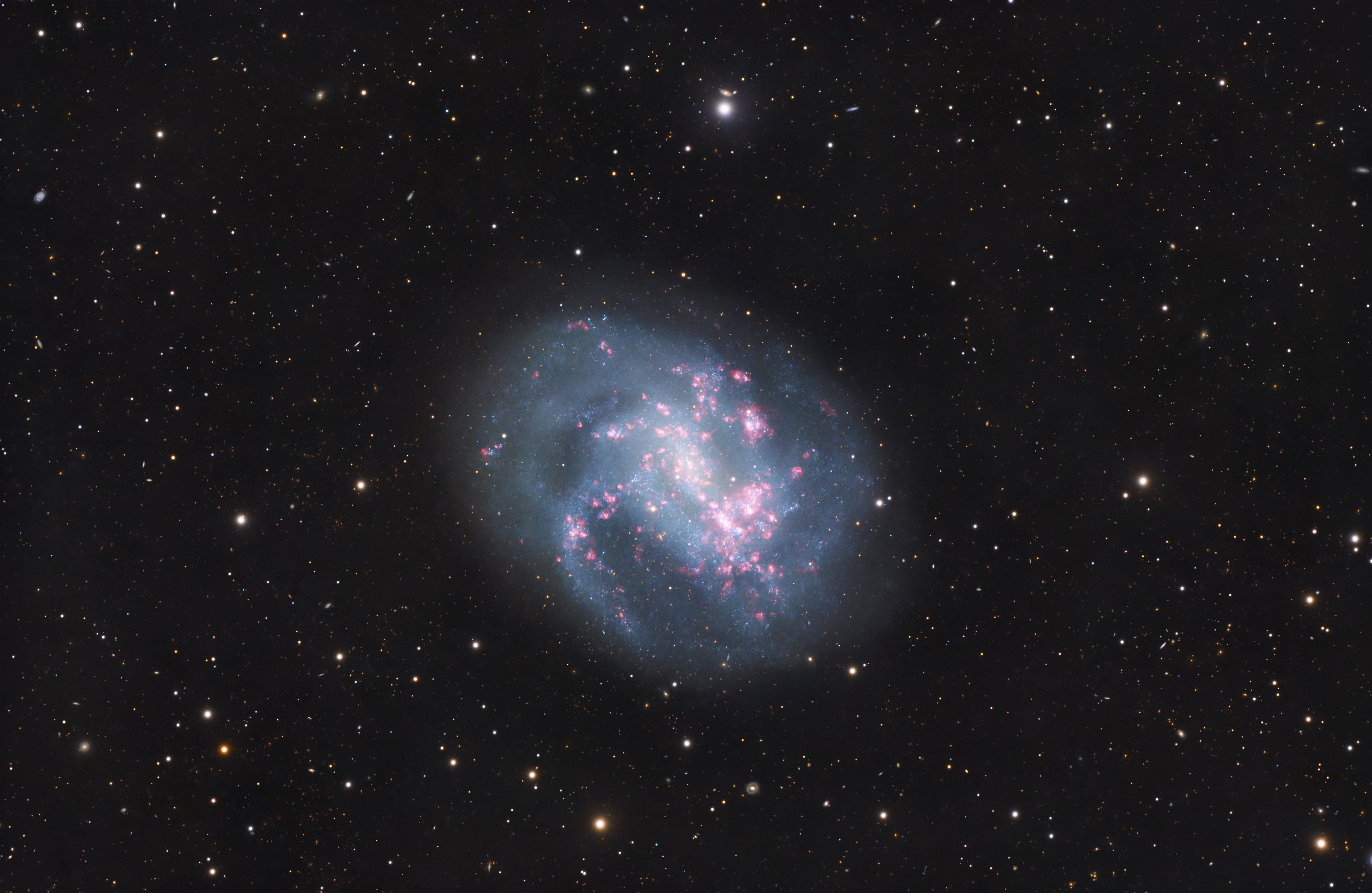 NGC 4395 – eine lichtschwache Spiralgalaxie in den Jagdhunden